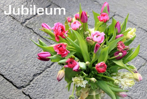 Blog - Week 6 - 2015 - Jubileum - kleurige voorjaarsbloemen - Tulp - Hyacint - Anemoon - Fhreja - Ontwerpbureau Groene Leefomgeving