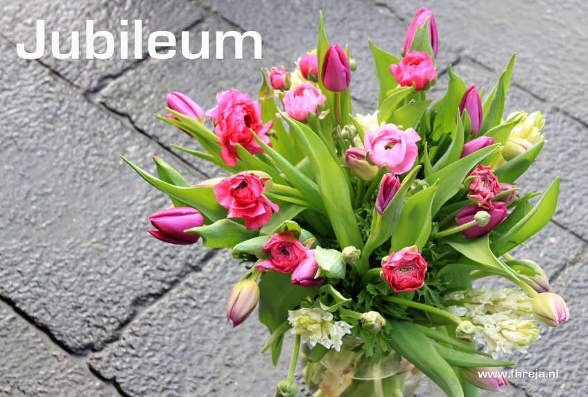 Blog - Week 6 - 2015 - Jubileum - kleurige voorjaarsbloemen - Tulp - Hyacint - Anemoon - Fhreja - Ontwerpbureau Groene Leefomgeving