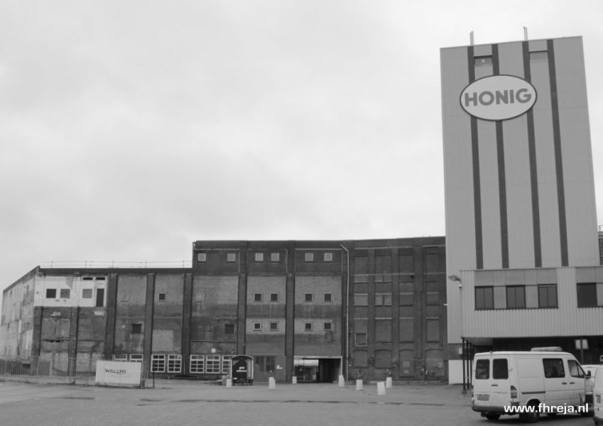 Fabriekstuin Honigcomplex - Nijmegen - Fhreja - 3D - tuinontwerp - bloemen - terras - moestuin - openbare ruimte - sociaal