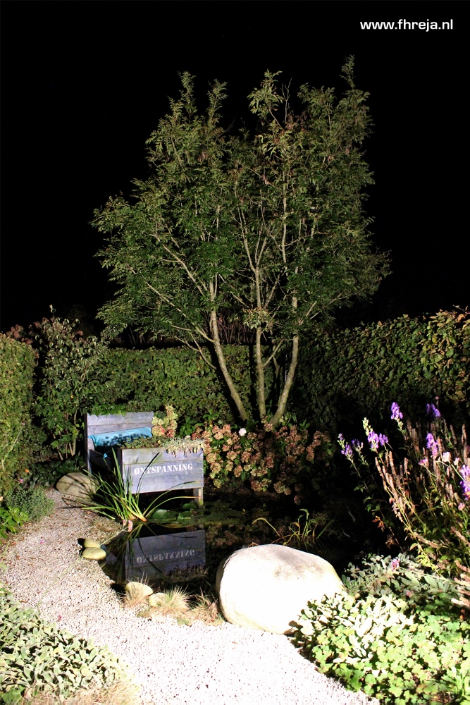 Tuinfotografie - Tuin bij nacht - Bed - Fhreja - Ontwerpbureau Groene Leefomgeving