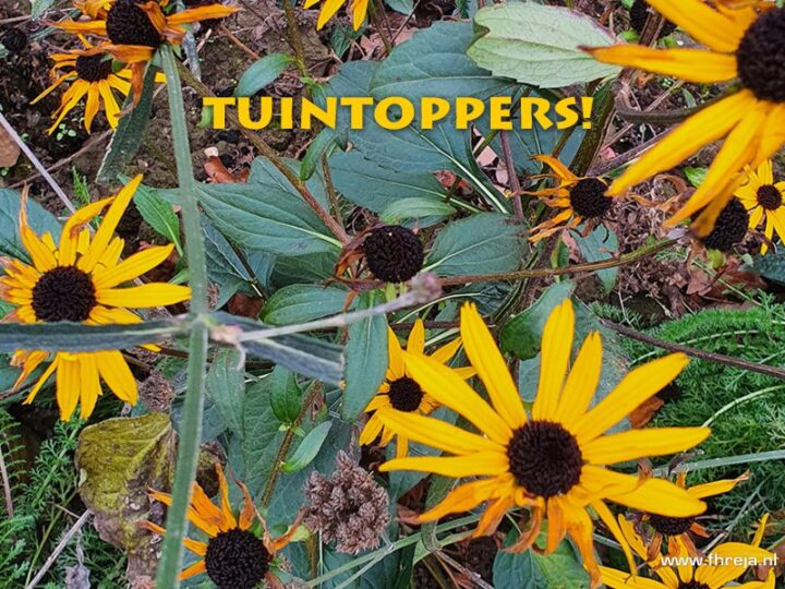 Tuintoppers