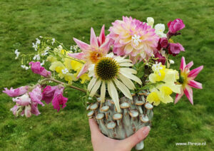 Mini-bloemenpluktuintje - Fhreja - Ontwerpbureau Groene Leefomgeving 05